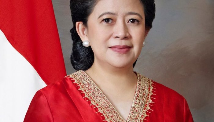 Puan Maharani Dukung Pembelian LPG 3 Kg Berbasis NIK: Kajian, Sosialisasi, dan Tantangan Implementasi