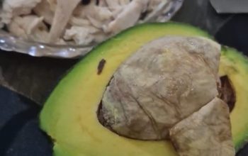 Khasiat Buah Alpukat: Panduan Lengkap Nutrisi, Manfaat Kesehatan, dan Cara Konsumsi Sehari-hari